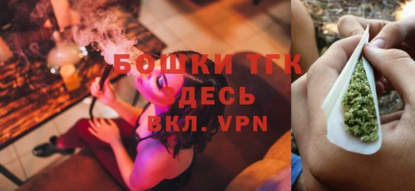 мдпв Липки
