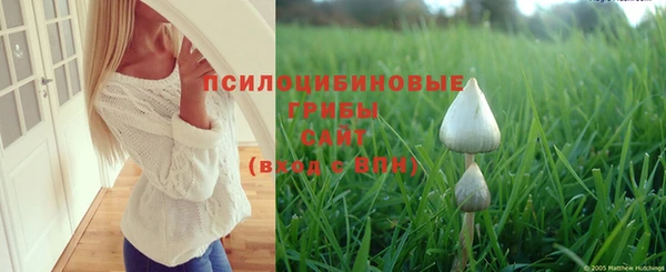 apvp Лиски