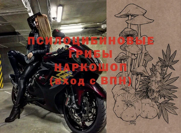 apvp Лиски