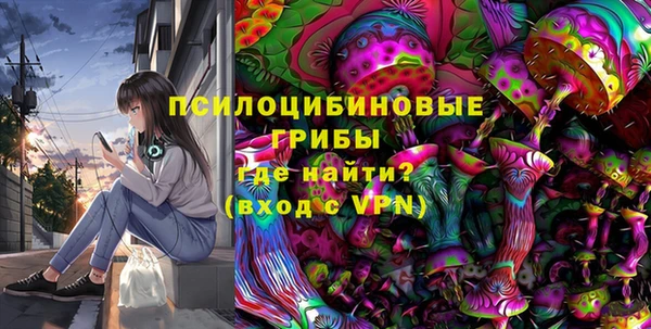 мдпв Липки