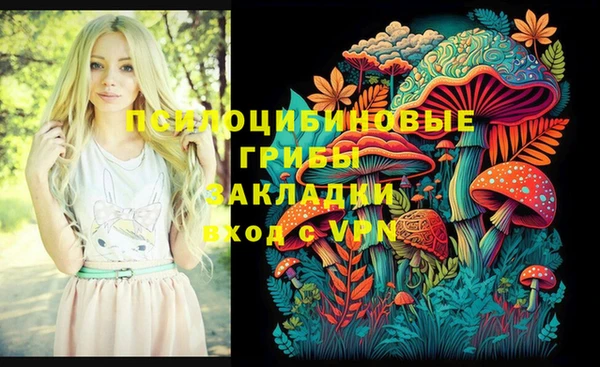 мдпв Липки