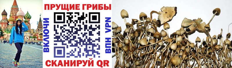 Галлюциногенные грибы мухоморы  Южа 